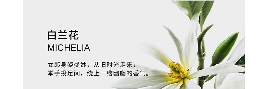 RE CLASSIFIED RE調香室 香氛蠟燭 清新淡香室內蠟燭香氛 梵蒂岡教宗圖書館 35g