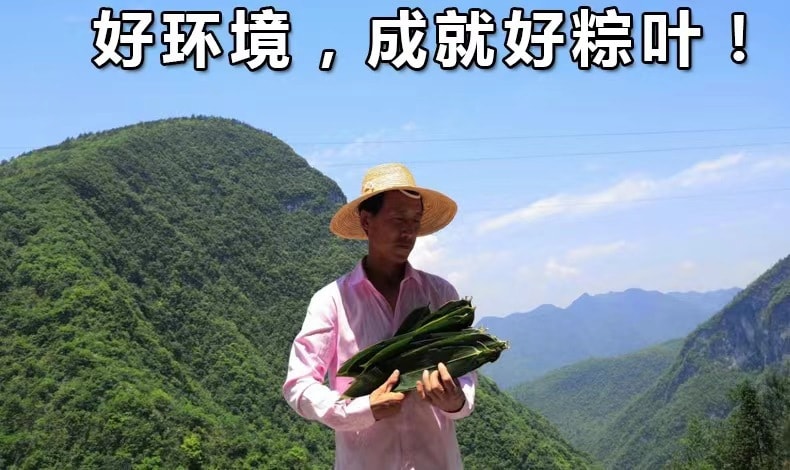 當季新鮮粽葉 50 片 箬竹葉 真空包裝 柔軟度好 店內另有粽子繩及包粽子模具 歡迎選購 端午節包粽子
