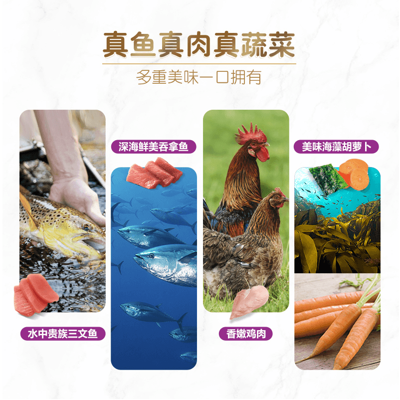 【马来西亚直邮】泰国WHISKAS伟嘉 猫宠物零食妙鲜包 吞拿鱼蟹柳棒及胡萝卜 70g