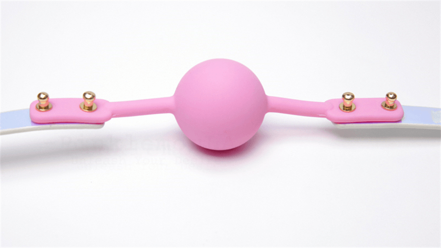 BDSM Iridescent Professional Training Bondage Set with Lead Chain and Paddle