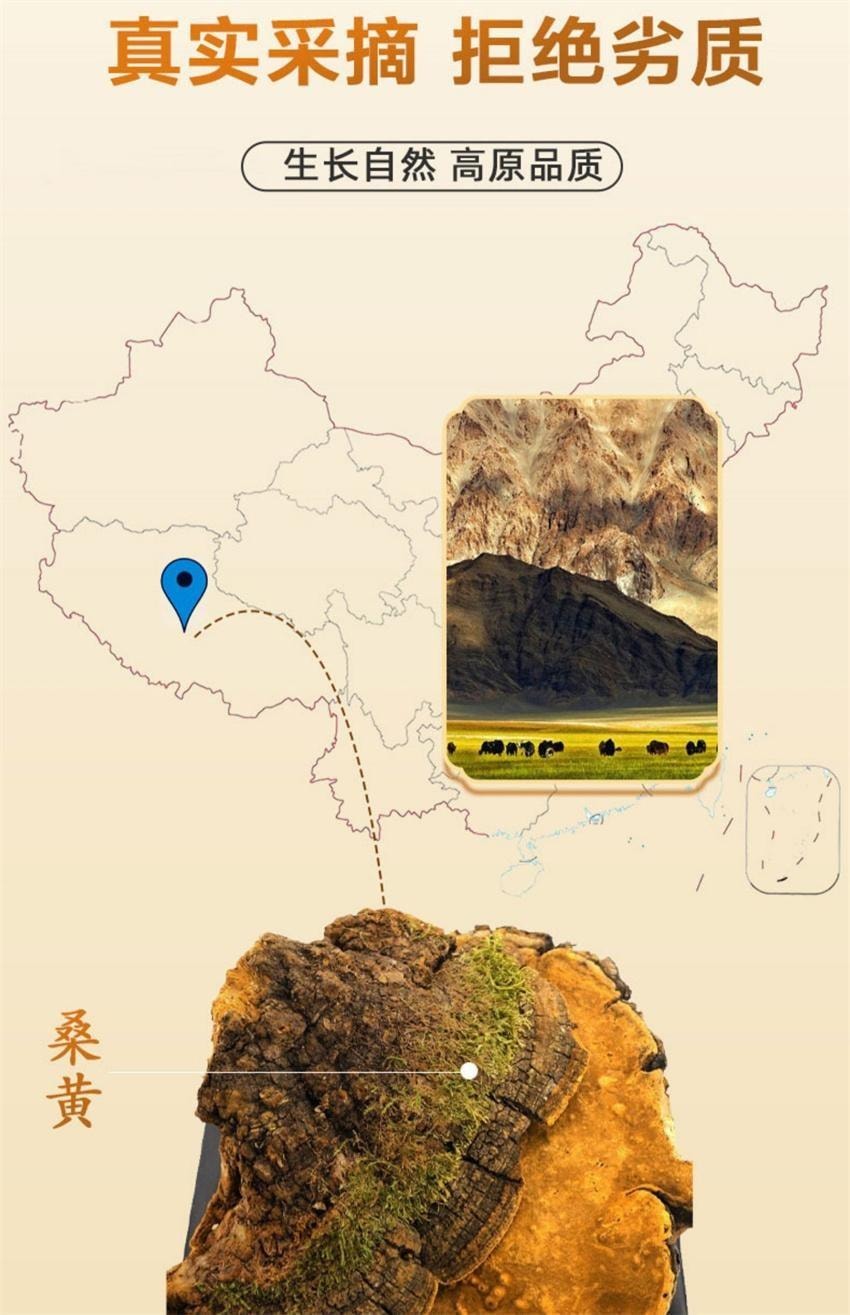 【中国直邮】 敖东 桑黄粉 长白山桑树桑黄精粉桑黄菌正品 提高免疫力、抗炎、抗氧化、降血糖、保护肝脏 100g/瓶