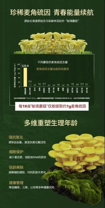 【日本直邮】 日本 清美堂SEIBIDO  N+ 18000 高纯度NMN30天摄取总量18000mg 每瓶90粒 除NMN高奢搭配抗氧化抗衰高端成分全面细胞级抗衰