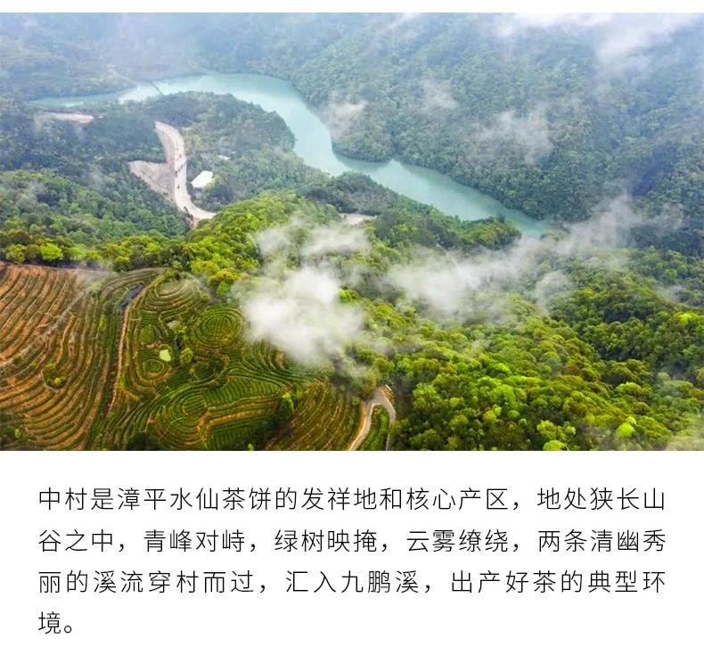 小师姐评茶 茶中香水漳平水仙 核心产区紧压乌龙茶 传统炭焙 手工压制 百香馥郁 回甘生津 倾花 一袋一泡 42克 (7克x6)