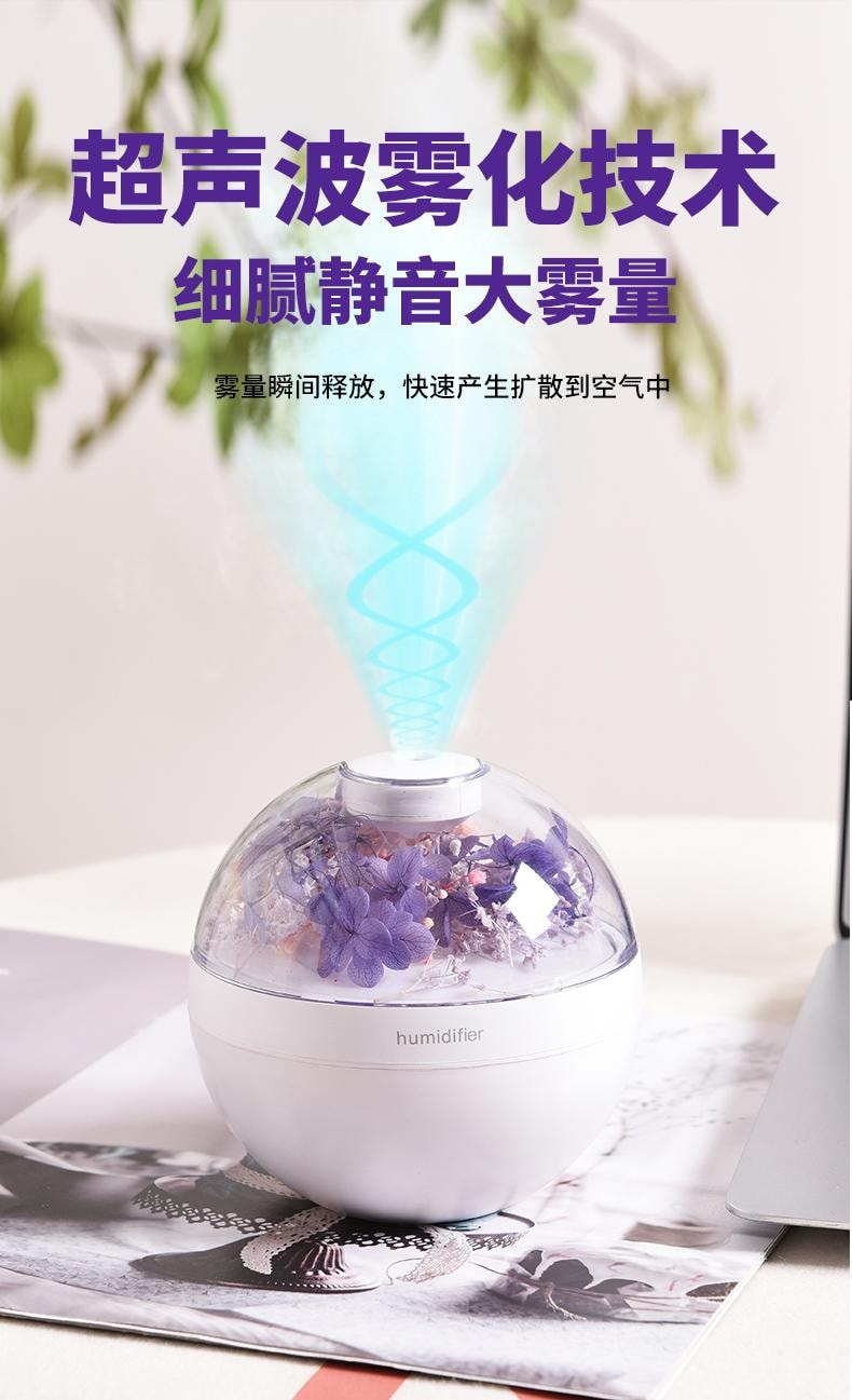 【中国空运直邮】 晶雅家 补水喷雾永生花加湿器 USB充电接口卧室迷你氛围灯加湿器 紫色 一台装