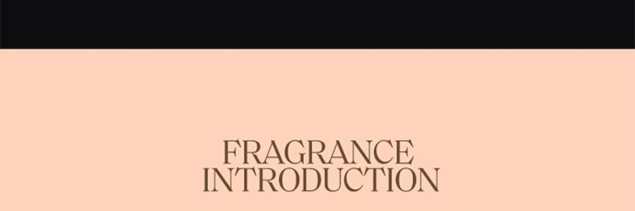 Aromathérapie de Voiture Multifonctionnelle, Pendentif de Voiture Parfum Longue Durée - Fortune Inattendue