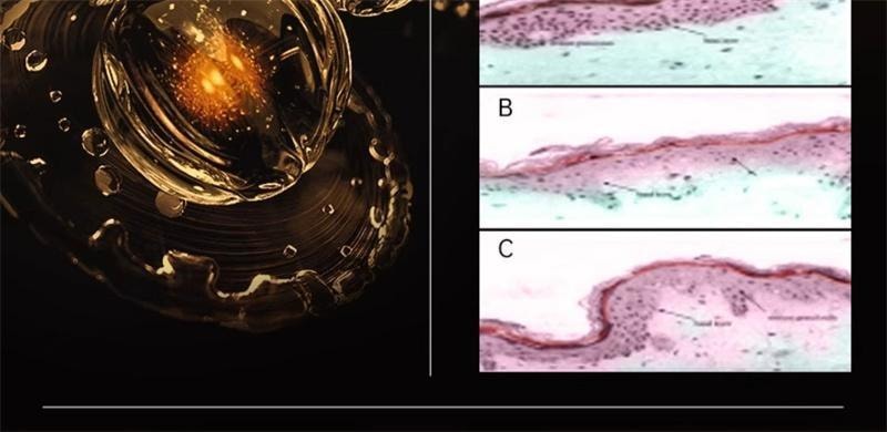 【中国直邮】 碧维斯 六代抗糖丸 活性抗糖丸饮祛黄淡纹抗氧抵御糖化30粒/盒