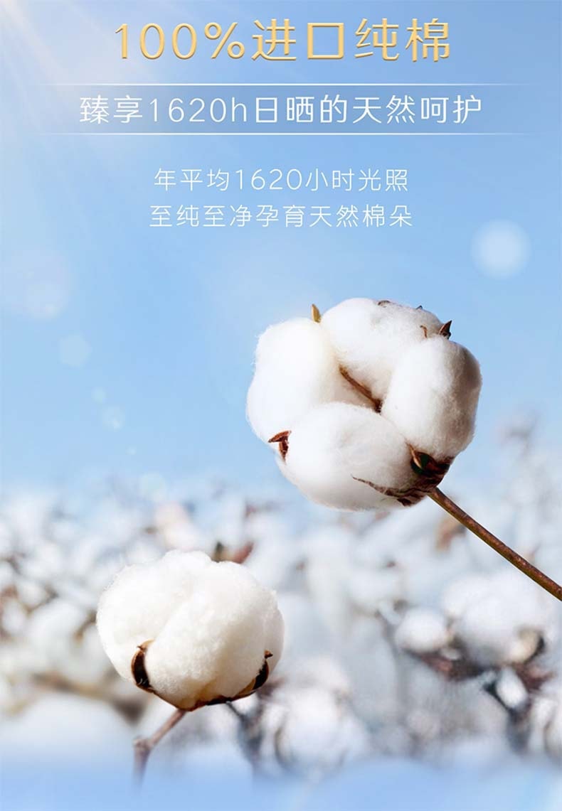 【中国直邮】高洁丝  卫生巾240极薄纯棉日用姨妈巾  8片/包