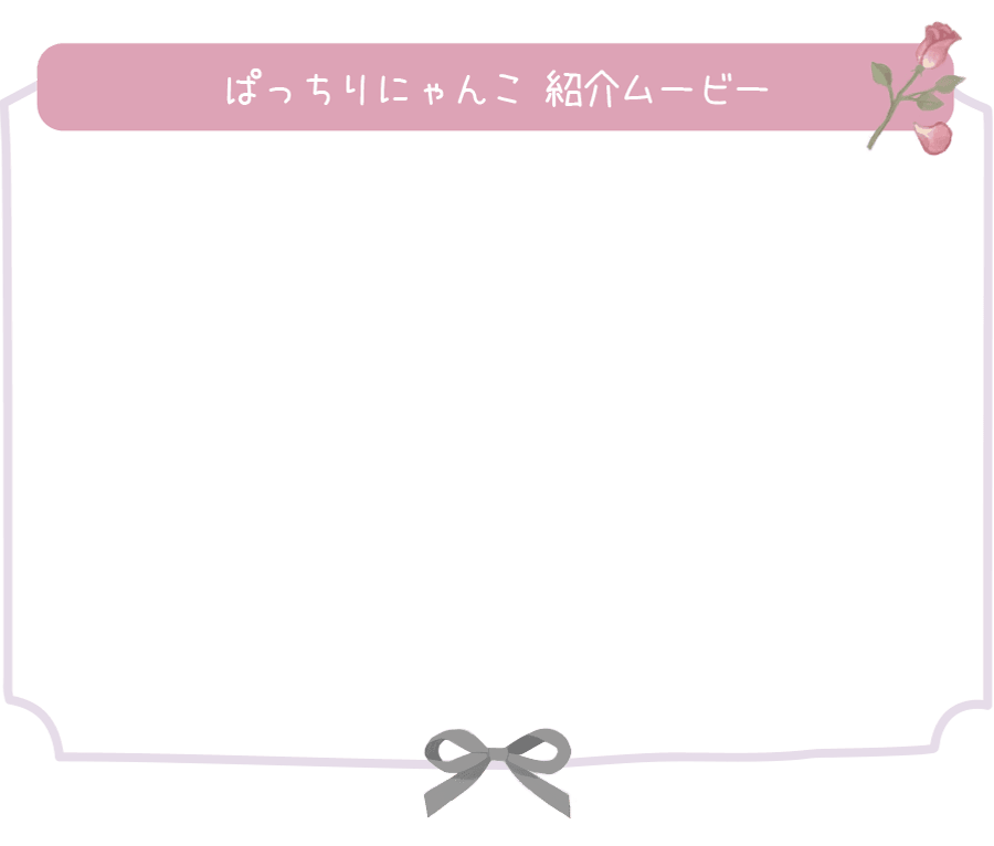【日本直郵】黑崎美沙 MieQaM 日拋美瞳 Patchiri Nyanko 靈動大眼喵 （棕色系 黑色系）著色直徑13.5mm 10枚 預定3-5天日本直發 度數500