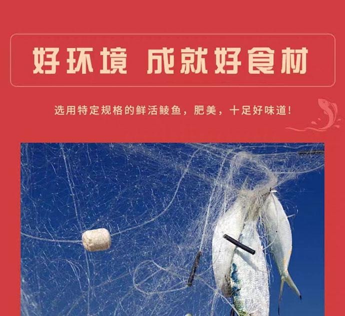 【中國直郵】 鷹金錢 金獎豆豉鯪魚罐頭 即食 227g*2罐