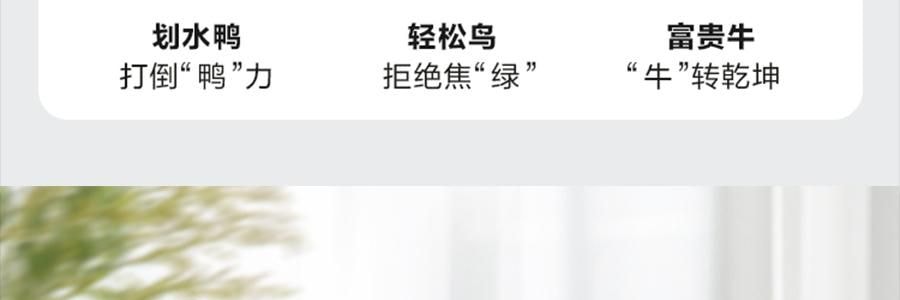 BUYDEEM北鼎 划水鸭泡茶吨吨杯子 玻璃杯壶 600ml DG86/A9