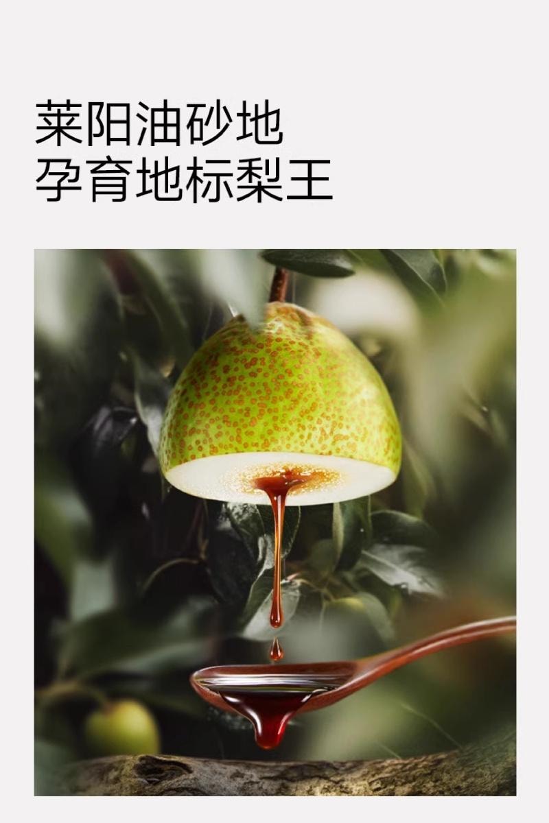 【中国直邮】 不二宝贝 婴儿幼儿童 枇杷秋梨膏 纯梨膏泡水 210g/桶