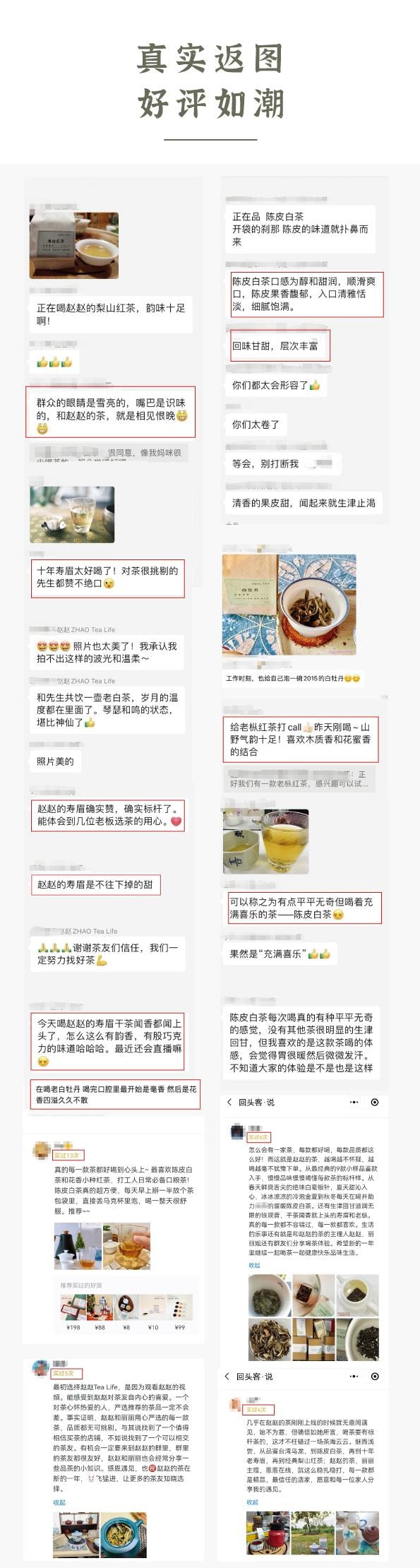 Zhao Tea栀子绿茶 绿茶鲜爽与栀子花甜美芬芳完美融合 清爽滋润 绿茶 花茶 茶包 45g