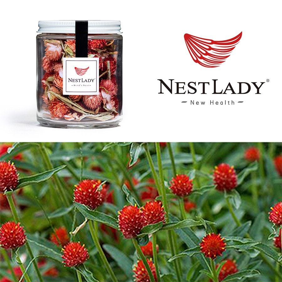 美國NESTLADY 補血祛斑 紅巧梅 茶 15g