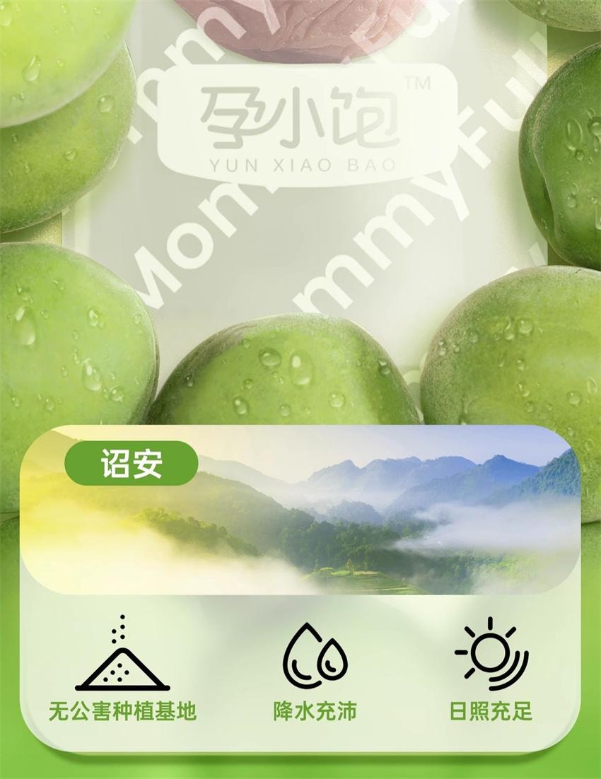 【中國直郵】 孕小飽 孕婦零食酸梅話梅干緩解孕期孕吐營養解饞果脯小吃 0糖話梅 70g/盒