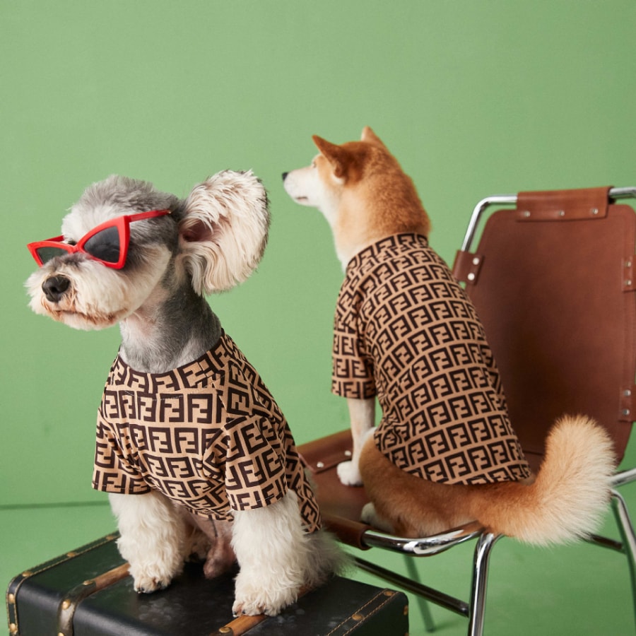 TAWNEY BESR 狗狗衣服夏装薄款透气防掉毛泰迪雪纳瑞博美比熊柴犬T恤短袖 #S