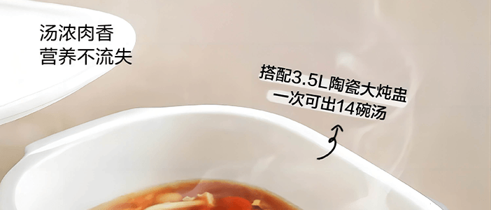 BUYDEEM北鼎 多功能蒸炖锅 隔水蒸炖锅电蒸锅 加大加高不挑餐具 14L G67 双层