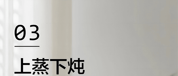 BUYDEEM北鼎 多功能蒸炖锅 隔水蒸炖锅电蒸锅 加大加高不挑餐具 14L G67 双层