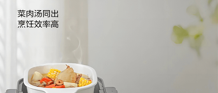 BUYDEEM北鼎 多功能蒸炖锅 隔水蒸炖锅电蒸锅 加大加高不挑餐具 14L G67 双层