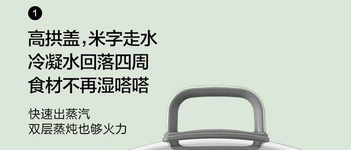 BUYDEEM北鼎 多功能蒸炖锅 隔水蒸炖锅电蒸锅 加大加高不挑餐具 14L G67 双层