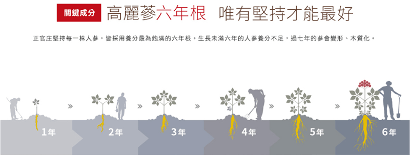 韩国彤人秘 ● 雪 极光焕白面霜 60ml 