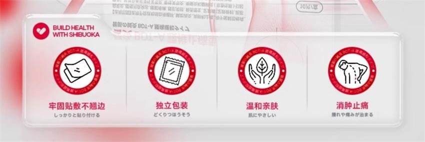 【中國直郵】 澀岡 腰肌勞損專用膏藥貼 遠紅外線消炎腰間椎間盤突出腰痛間盤止痛藥貼 10貼/盒(腰肌勞損專用)