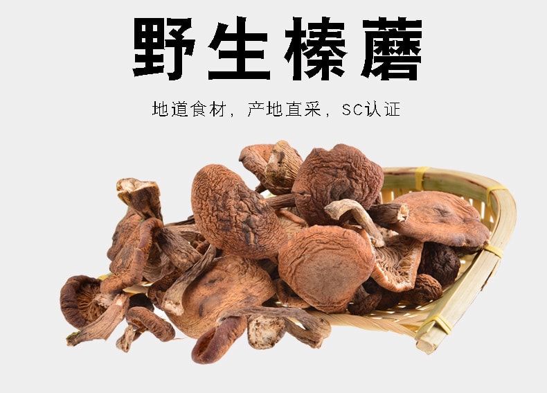 【中国直邮】插树岭有机榛蘑 小鸡炖蘑菇 150g 长白山特产