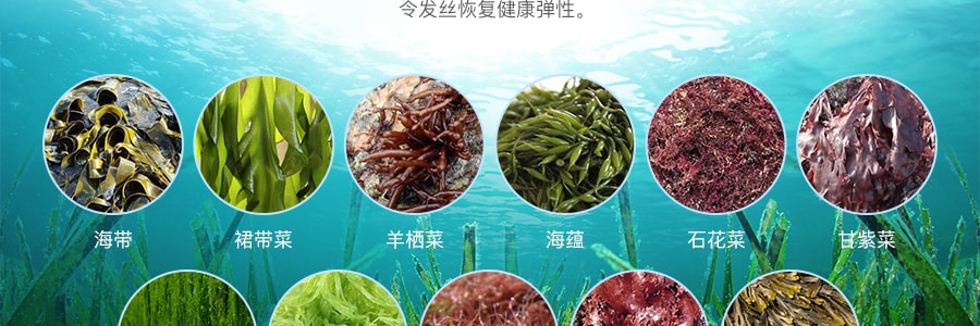 日本KRACIE嘉娜宝 海藻海洋深层水保湿滋润护发素 520g