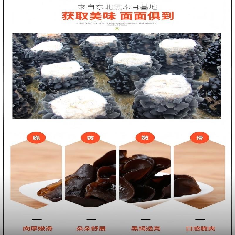 【中國直郵】 古松 黑木耳肉厚無根泡發率高涼拌炒菜火鍋食材特產乾貨高品質原生態 精選黑木耳250g