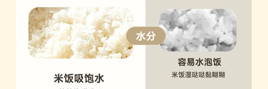 【亚米独家】BEAR小熊 铁釜电饭煲3L  防溢易清洁 微压烹饪 0 氟健康不粘煮饭锅 RC-5L30A19