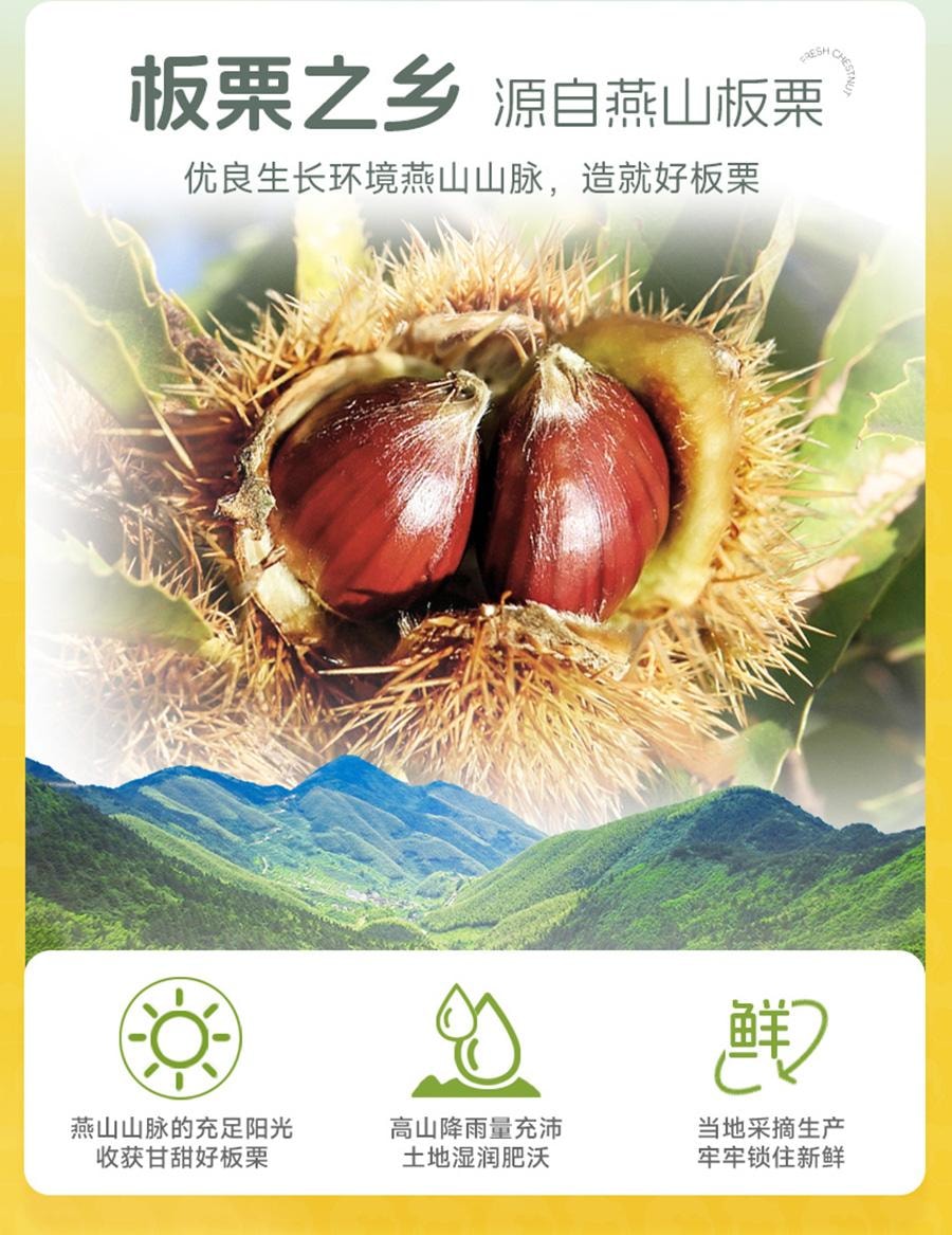  比比赞 板栗仁熟食即食板栗零食栗子办公室解馋蜂蜜油栗仁坚果休闲小吃【蜂蜜味】60g