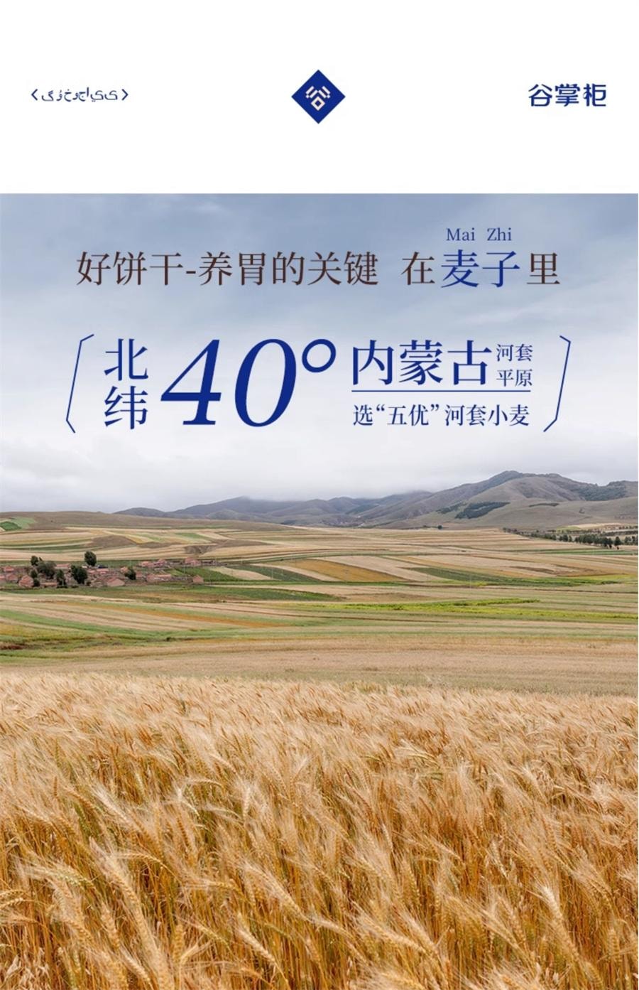 【中国直邮】 谷掌柜 咸驼奶猴头菇苏打饼干养胃零食早餐代餐无蔗糖添加    420g/盒