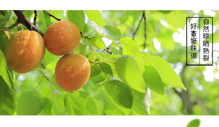 蘑菇风暴【小白杏干】一杏两吃 肉质厚实 自然晾晒 250克装