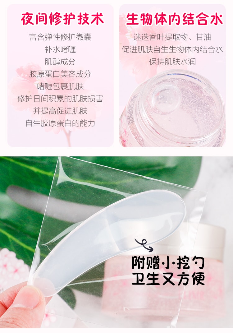 【日本直邮】日本本土版 SHISEIDO资生堂 ELIXIR怡丽丝尔睡眠面膜105g 涂抹式胶原蛋白补水免洗 樱花限定版