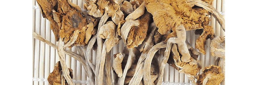 川珍 茶樹菇 150g 【四川青川特產】