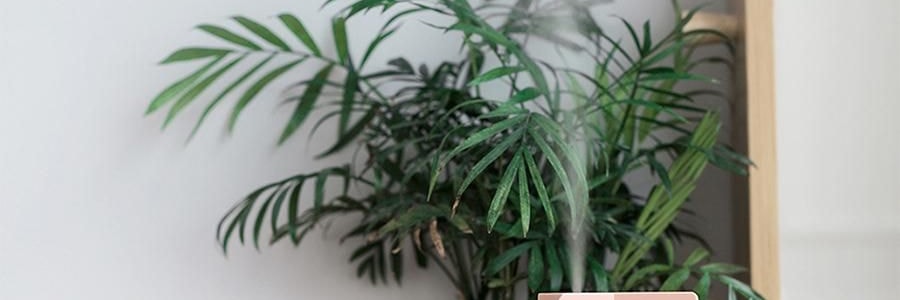 SOTHING向物 牛奶盒加湿器 多种模式 静音贴心 白色