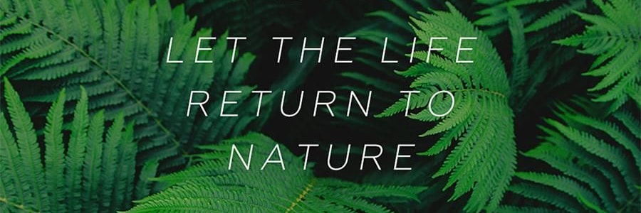 SOTHING向物 牛奶盒加湿器 多种模式 静音贴心 白色