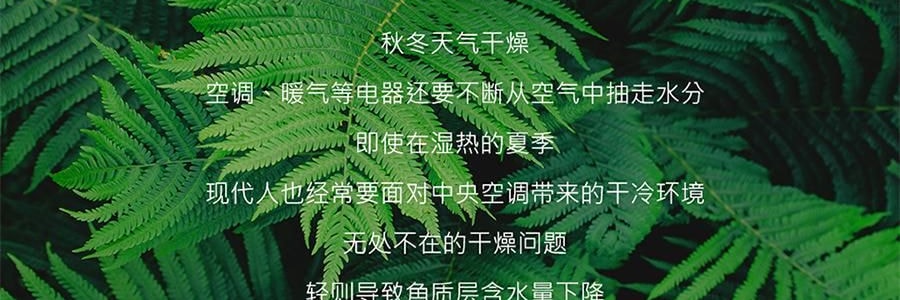 SOTHING向物 牛奶盒加湿器 多种模式 静音贴心 白色