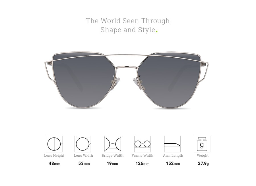 Fashion Sunglasses: Silver (DL82004)