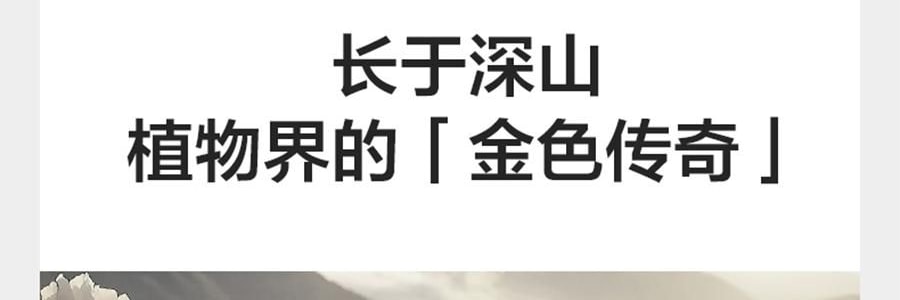 BC BABYCARE 尿不湿 XL码-36片/包 山茶轻柔婴儿纸尿裤 腰贴型纸尿裤 适用月龄12个月以上 12-17kg