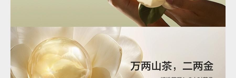 BC BABYCARE 尿不湿 XL码-36片/包 山茶轻柔婴儿纸尿裤 腰贴型纸尿裤 适用月龄12个月以上 12-17kg