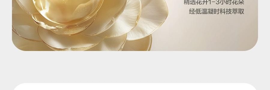 BC BABYCARE 尿不湿 XL码-36片/包 山茶轻柔婴儿纸尿裤 腰贴型纸尿裤 适用月龄12个月以上 12-17kg