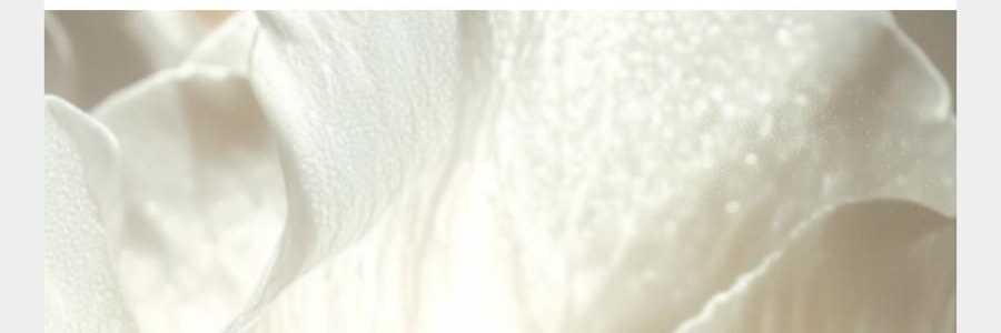 BC BABYCARE 尿不湿 XL码-36片/包 山茶轻柔婴儿纸尿裤 腰贴型纸尿裤 适用月龄12个月以上 12-17kg