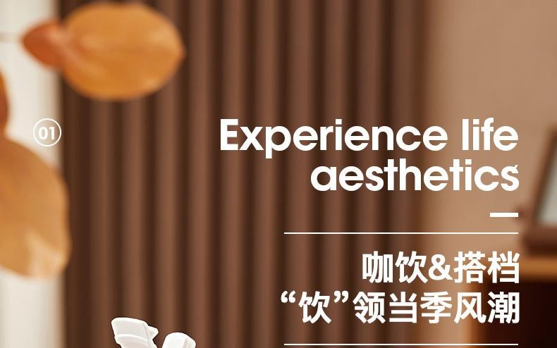 【中国直邮】日本 LINE FRIENDS 布朗熊新款保温杯316不锈钢大容量吸管杯高颜值儿童保温双饮水杯   500ml