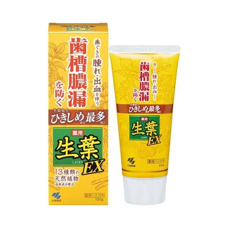 【日本直郵】KOBAYASHI小林製藥 植物配方 生葉牙膏 100g【強力型】