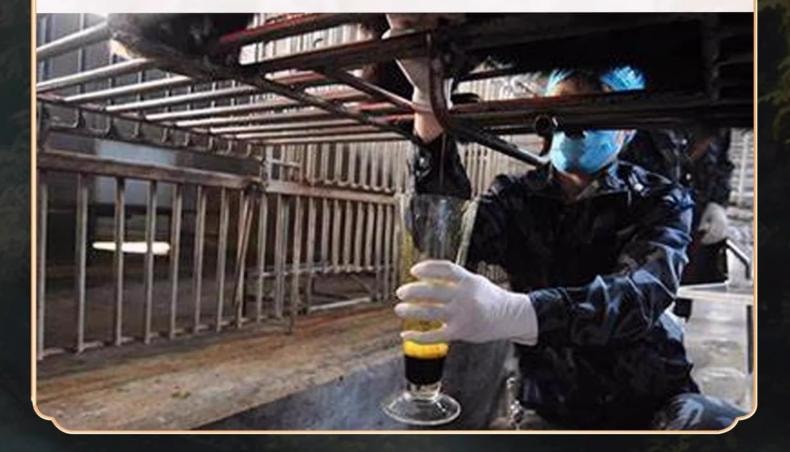 【中国直邮】 修正熊胆粉 100mg*4瓶/盒  解酒养肝护肝口苦口臭降肝火明目咽喉肿痛【熬夜喝酒人士必备,买就送糯米纸】