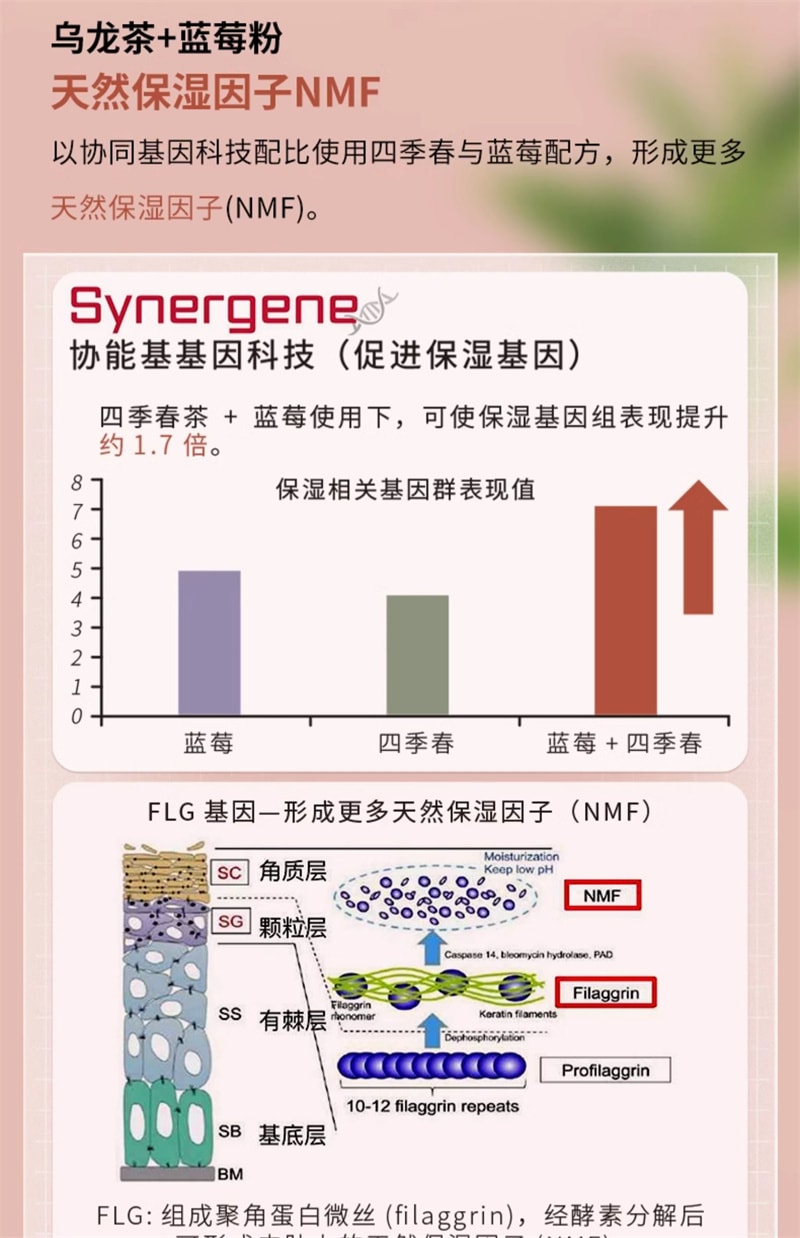 【中國直郵】Mama Mujer 烏飛姿乳礦物質鹽蛋白肽粉3g*12條/盒口服膠原蛋白