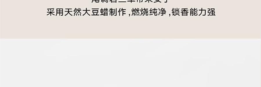 THE BEAST野兽派 熊猫噗噗香氛蜡烛 大豆蜡香薰礼盒礼物 三姐妹 愈创木/薄荷新生/苹苹奶
