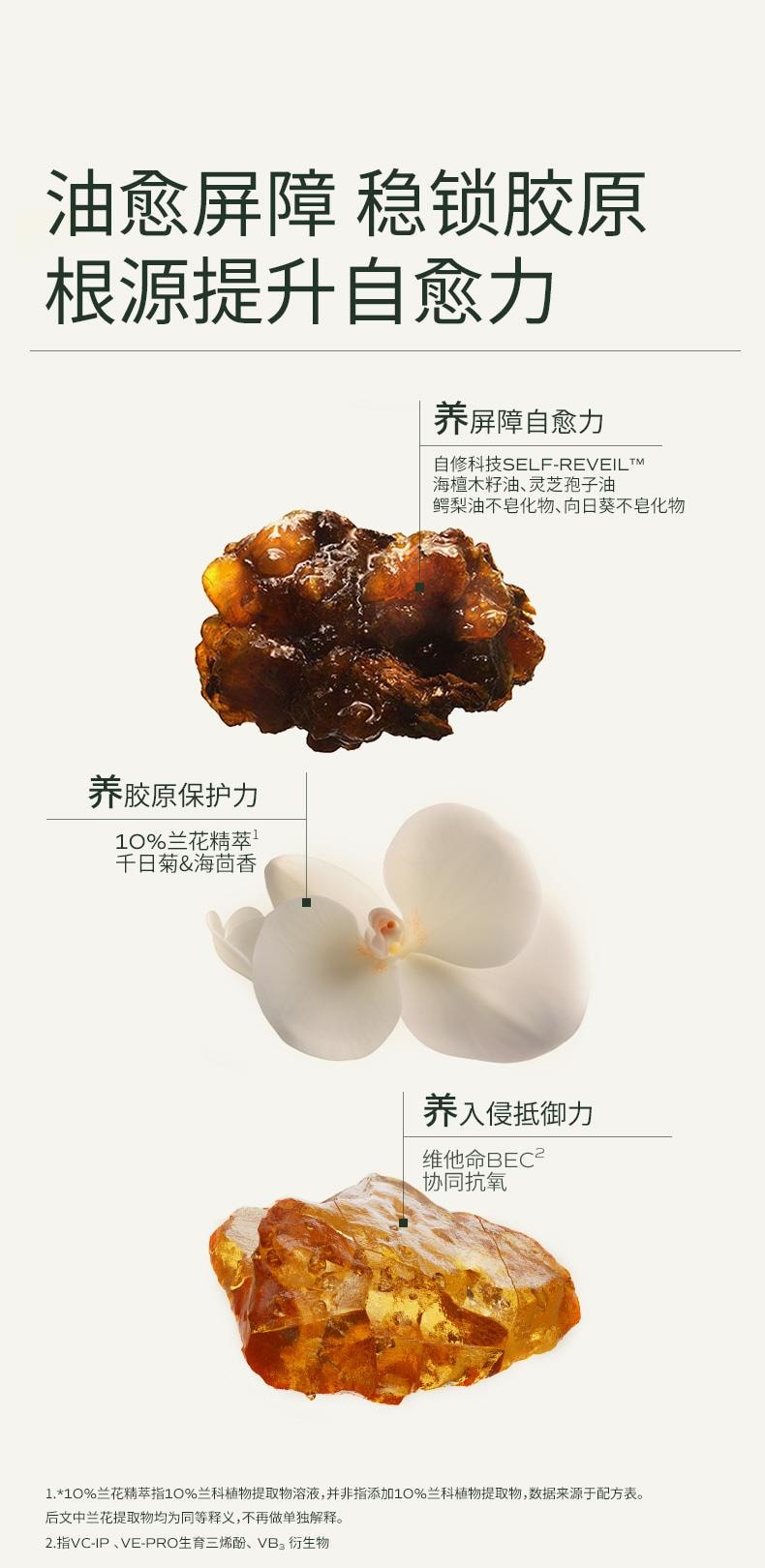 LAN 兰 时光兰花精华油 臻妍精粹油 3.0 15ml 修护抗皱 保湿提亮 淡纹强韧抗氧 干皮一夜嫩透亮【秦岚同款】