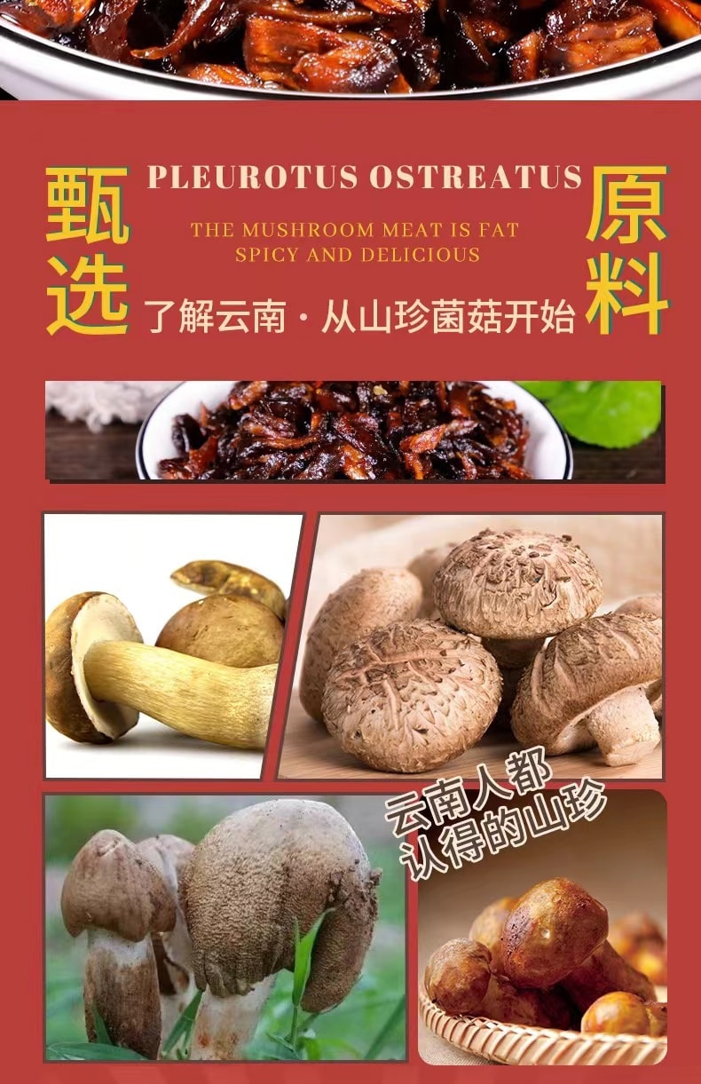 中國 紅土園 雲南山珍 牛肝菌 160克 約9小袋分裝 下飯菜 菌菇零食 菌香濃鬱香脆 肉厚肥碩鮮甜