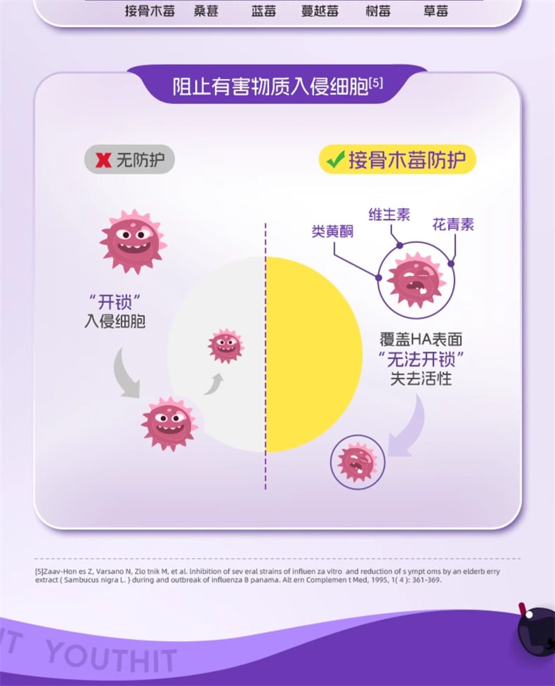 【中国直邮】Youthit优思益 接骨木莓成人免疫维生素VC饮14袋/盒提高免疫力浆果